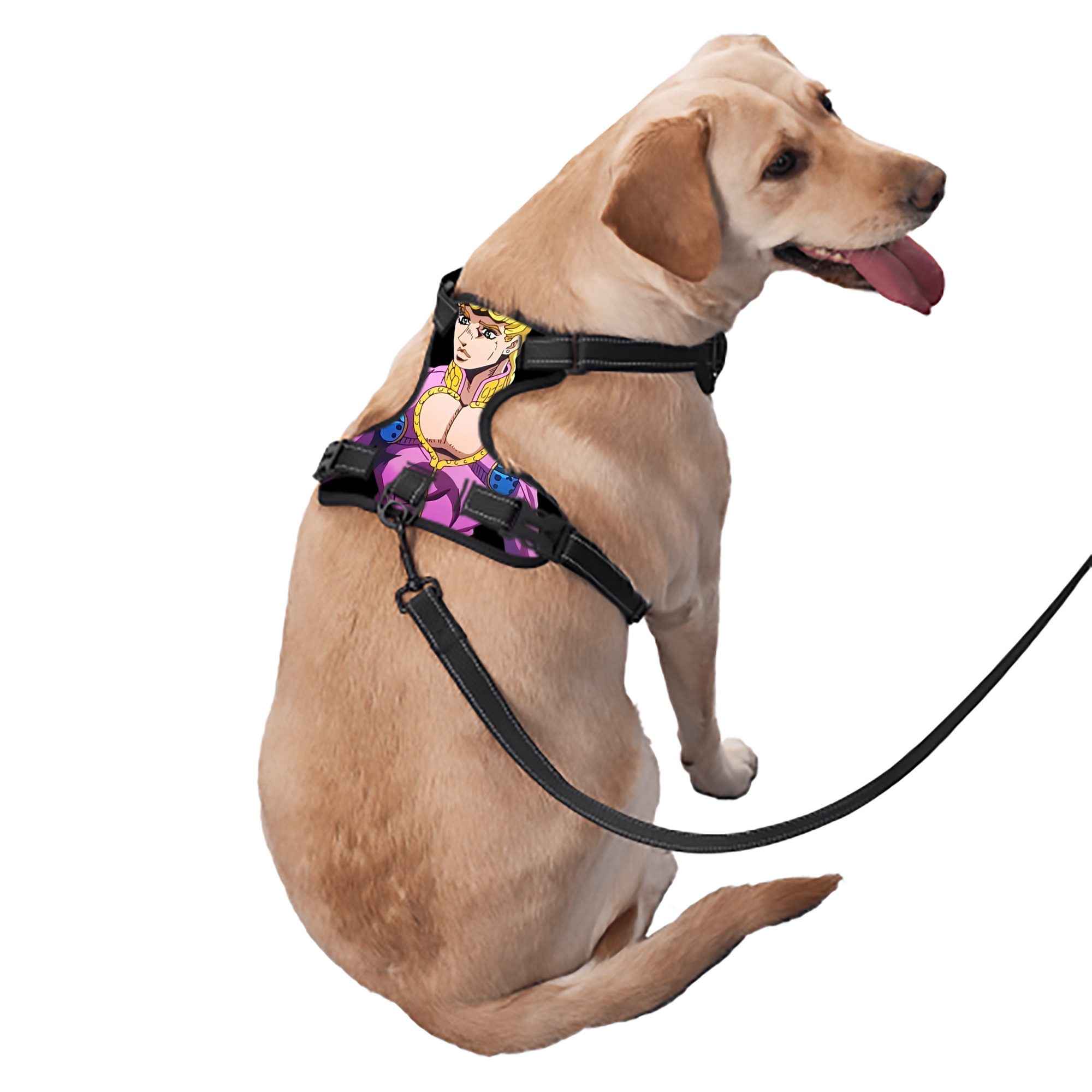 （画像用） ジョジョの奇妙な冒険 ジョルノ?ジョバァーナ JoJo's Bizarre Adventure Giorno Giovanna ペット用ハーネス